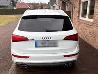 Gebraucht Audi SQ5 336 PS (247 kW) 2017 Weiß SUV