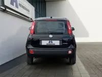Neu Fiat Panda 65 PS (47 kW) 2026 Cinema schwarz Kleinwagen