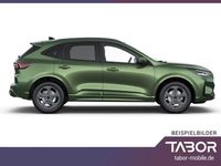 Neu Ford Kuga ST-Line 184 PS (135 kW) 2025 Andere farbe SUV