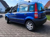 Brugt Fiat Panda 60 HK (44 kW) 2009 Blå Hatchback