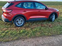 Gebraucht Ford Kuga Titanium 120 PS (88 kW) 2022 Rot SUV