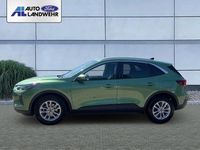 Gebraucht Ford Kuga Titanium 186 PS (136 kW) 2024 Gruen SUV