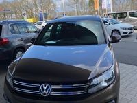 gebraucht VW Tiguan Lounge Sport & Style