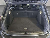 Gebraucht Ford Focus ST-Line X 116 PS (85 kW) 2025 Grau Kombi