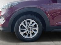gebraucht Hyundai Tucson 1.6 T-GDI 177 PS 4WD *Intro Edition*NAVI GRA SITZHZG.