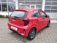 Neu Kia Picanto Vision 68 PS (50 kW) 2026 Rot Kleinwagen