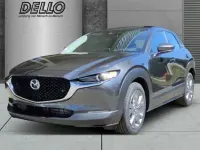 Gebraucht Mazda CX-30 Center-Line 140 PS (102 kW) 2025 Grau SUV