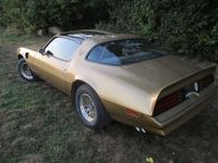 gebraucht Pontiac Trans Am Targa