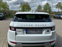gebraucht Land Rover Range Rover evoque l538 Polaris White/ Fuji White 2,0L Diesel Pano