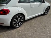 Gebraucht VW Beetle Exclusive 140 PS (102 kW) 2014 Weiß Kleinwagen