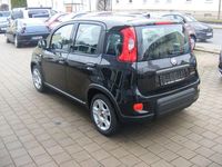 Gebraucht Fiat Panda 69 PS (50 kW) 2024 Schwarz Kleinwagen