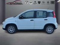 Gebraucht Fiat Panda 69 PS (50 kW) 2022 Gelato weiß Kleinwagen