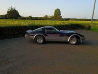 gebraucht Corvette C3 Indy 500 Pace Car, L-82, viele orig. Unterlagen!