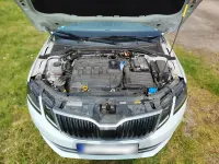 Gebraucht Skoda Octavia Style 116 PS (85 kW) 2019 Weiß Kombi