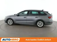 Gebraucht Skoda Octavia Ambition 150 PS (110 kW) 2022 Grau Kombi