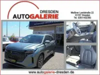 Neu DFSK Fengon 177 PS (130 kW) 2025 Grün Van / Kleinbus