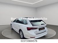 Gebraucht Skoda Octavia 150 PS (110 kW) 2021 Weiß Limousine