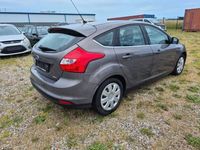 Gebraucht Ford Focus Champions Edition 101 PS (74 kW) 2013 Braun Limousine