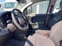 Gebraucht Fiat Panda 69 PS (50 kW) 2024 Weiss) (weiss Kleinwagen
