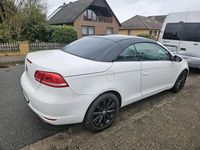 Gebraucht VW Eos 211 PS (155 kW) 2011 Weiß Cabrio