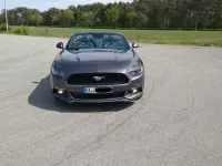 Occasion Ford Mustang 317 ch (233 kW) 2017 Gris Cabriolet
