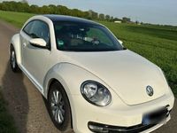 gebraucht VW Beetle 1.2 TSI Design Design