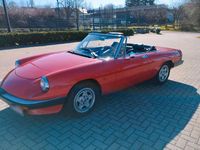 Gebraucht Alfa Romeo Spider 126 PS (92 kW) 1984 Rot Cabrio
