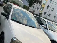 Gebraucht VW Polo 60 PS (44 kW) 2008 Weiß Kleinwagen
