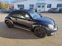 Gebraucht VW Beetle Cabriolet Design 105 PS (77 kW) 2014 Schwarz Cabrio
