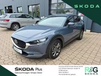Gebraucht Mazda CX-30 Selection 179 PS (131 kW) 2020 Grau SUV