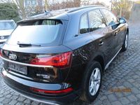 Gebraucht Audi Q5 Advanced 299 PS (219 kW) 2023 Schwarz SUV