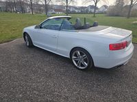 Gebraucht Audi S5 Cabriolet 333 PS (244 kW) 2013 Weiß Cabrio