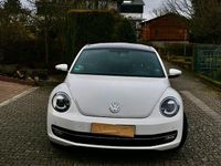 Gebraucht VW Beetle Design 105 PS (77 kW) 2013 Weiß Kleinwagen