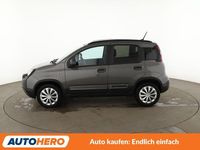 Gebraucht Fiat Panda Cross Cross 69 PS (50 kW) 2019 Grau Kleinwagen
