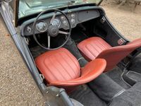 Gebraucht Triumph TR3 95 PS (69 kW) 1955 Cabrio