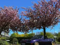 Gebraucht Mazda MX5 116 PS (85 kW) 1991 Cabrio