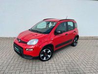 gebraucht Fiat Panda 1.0 Hybrid City Life+Parksensoren