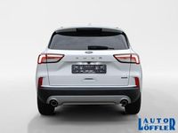 Gebraucht Ford Kuga Titanium 152 PS (111 kW) 2022 Frostweiß SUV