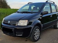 gebraucht Fiat Panda 4x4 1.2 8V Climbing