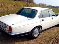 Gebraucht Jaguar XJ 295 PS (216 kW) 1984 Weiß Limousine