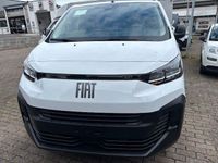 Neu Fiat Scudo 120 PS (88 kW) 2025 Weiß Van