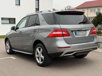 Gebraucht Mercedes ML350 258 PS (189 kW) 2014 Grau SUV