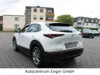 Gebraucht Mazda CX-30 140 PS (102 kW) 2025 Weiß SUV