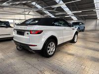 Gebraucht Land Rover Range Rover evoque 179 PS (131 kW) 2019 Weiß SUV
