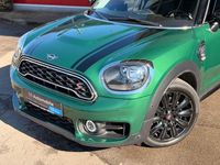 Gebraucht Mini Countryman 192 PS (141 kW) 2019 Grün SUV