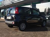 gebraucht Fiat Panda 1.2 Easy | 1.Hand | DAB+ | Klima | ZV