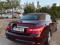 Gebraucht Mercedes E500 Elegance 387 PS (284 kW) 2011 Rot Cabrio