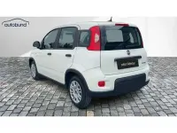 Gebraucht Fiat Panda 71 PS (52 kW) 2024 Kleinwagen