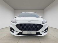 Gebraucht Ford Kuga ST-Line X 190 PS (139 kW) 2024 Weiß SUV