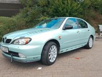 Gebraucht Nissan Primera Comfort 114 PS (83 kW) 2001 Grün Limousine